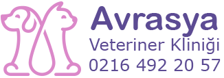 Avrasya Veteriner Kliniği